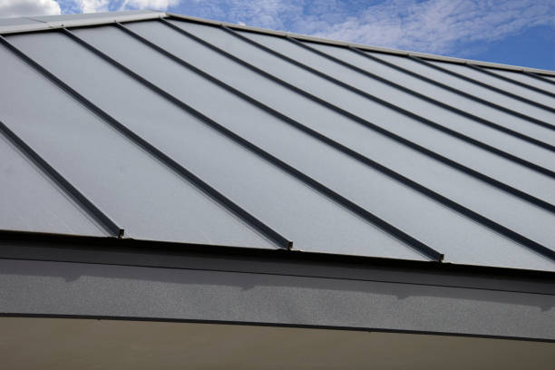 Best Steel Roofing  in Centreville, MI